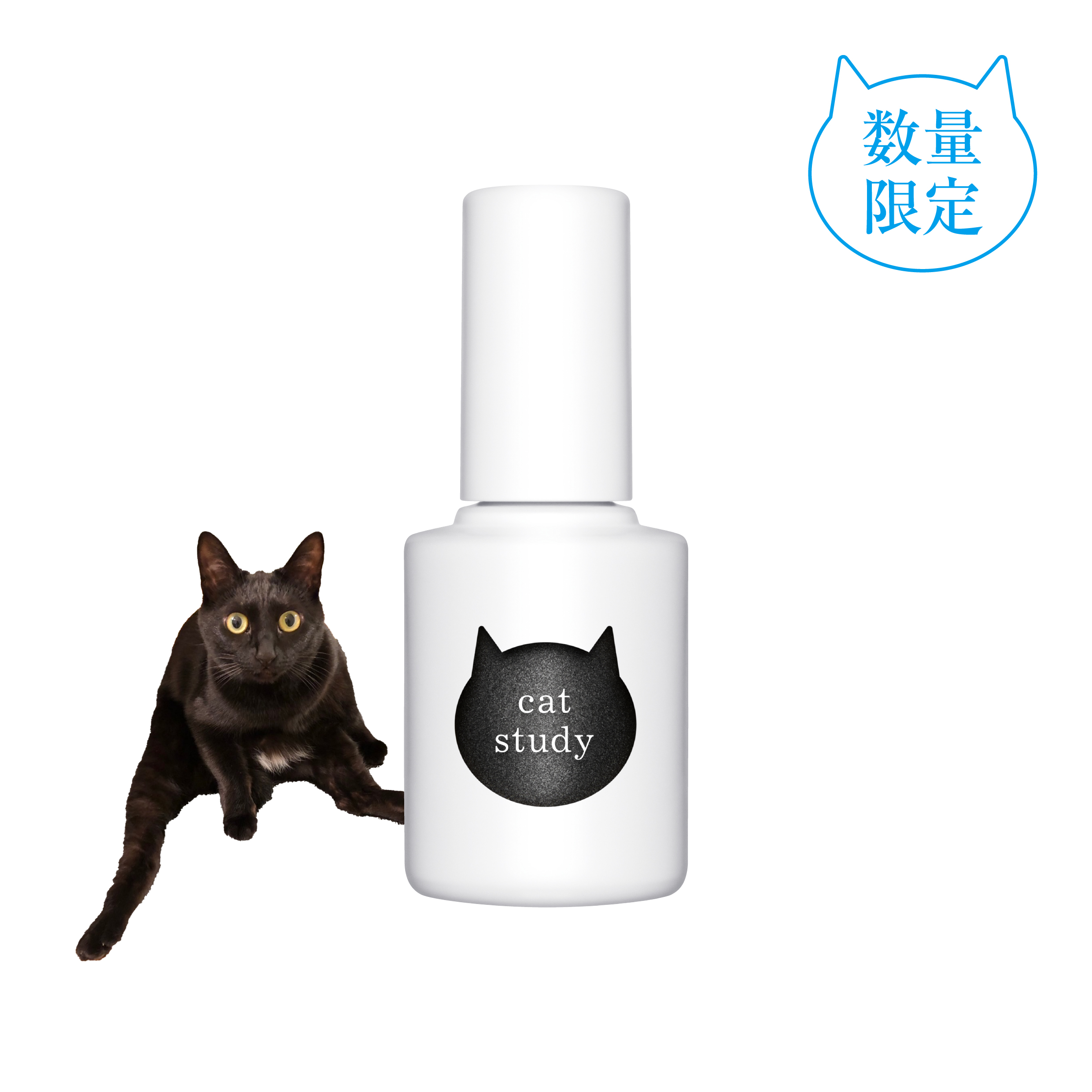 キャットスタディ クロネコブラック