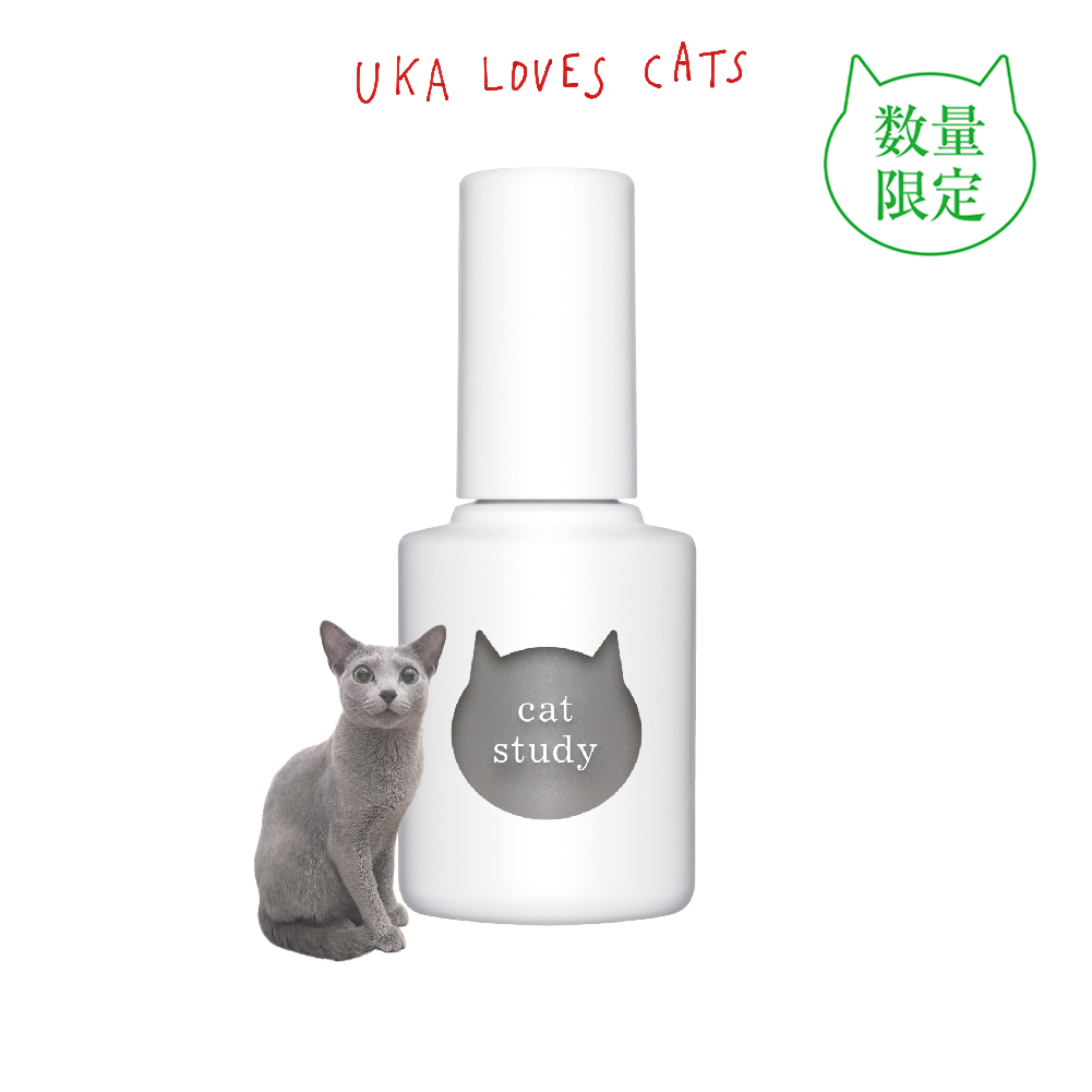 キャットスタディ ロシアンブルー グレー